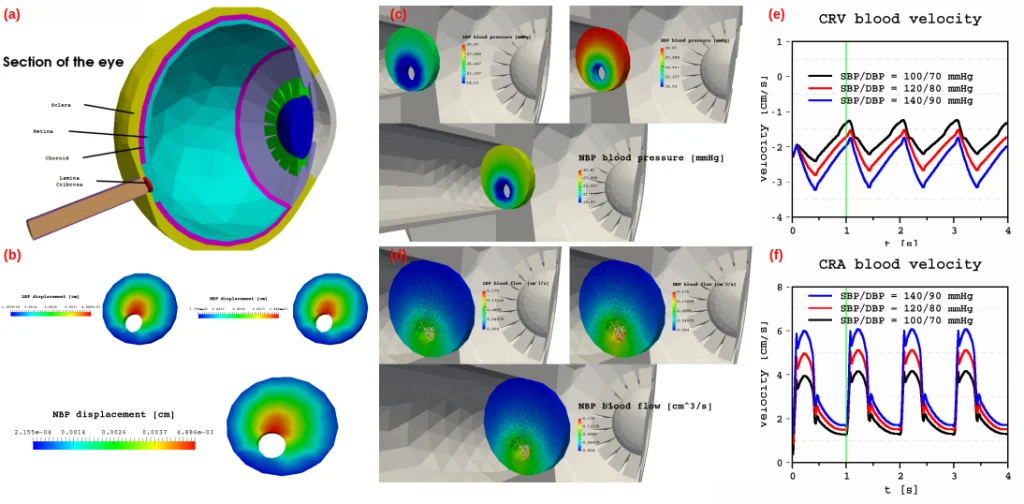 Meet the HiDALGO2 partner Cemosis: Strasbourg Modeling and Simulation Center
